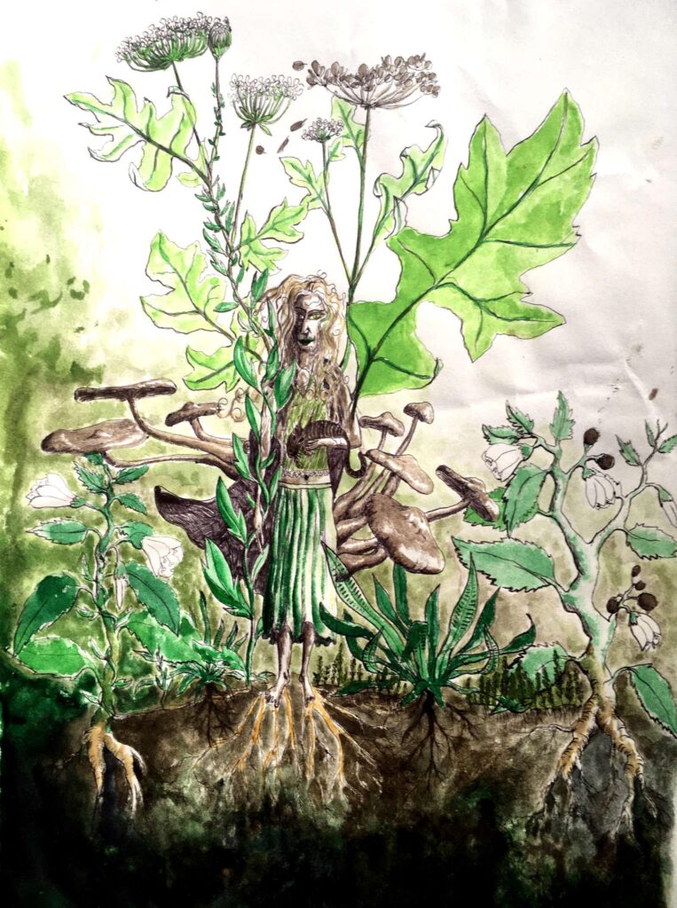 dessin fee vegetale